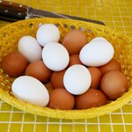 ラ・カーサ・ディ・テツオ オオタ - 『産みたての卵』