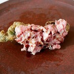 ラ・カーサ・ディ・テツオ オオタ - 『タラの芽の発酵米粉揚げと信州野豚のペースト、バルサミコ』