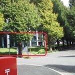ファカルティラウンジ - 201210 ﾌｧｶﾙﾃｨﾗｳﾝｼﾞ　銀杏並木を進んで・・・左手の棟の中にあります。ﾎﾟｽﾄが目印(^_^)v.jpg