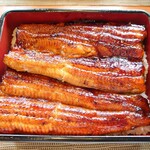 町田 うなぎ流木 - 上うな重