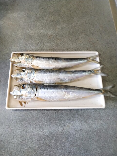 Yakihamagurihamadiyamukoujima 九十九里濱中部 魚類料理 海鮮料理 食べログ 繁體中文