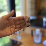 瞬 - 鳥貝(京都府舞鶴産)叩き〆なしベローン