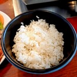 風樹 - ご飯