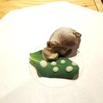 Ristorante fanfare - アミューズ：つぶ貝とオイスターリーフ（2021.5）