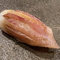 はっこく - 春子鯛