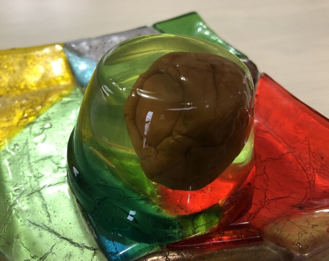 富田屋本店 - 郡山市その他（和菓子）の写真