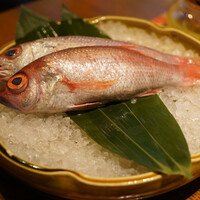 泉岳寺門前 紋屋 - 
