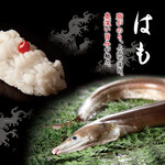雛鮨 - 6月限定１貫「はも」