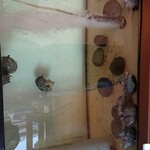 福松荘 - サザエ&アワビの水槽