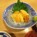 ととや烏賊煎 - 生雲丹