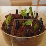 レストランぶどうの森 レ・トネル - 