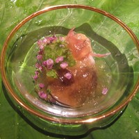 祇園 にしかわ - 