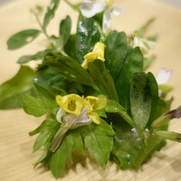 草片 - 