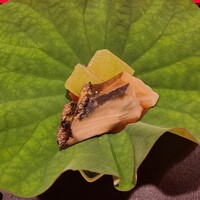 にくの匠 三芳 - 