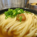 うどん 丸香 - かけうどんに梅干し