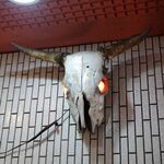 一条流がんこ総本家分家四谷荒木町 - 