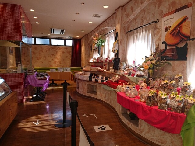 Chat Noir Naikanryokuten photo 5