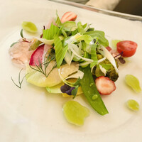 アマルフィイ・モデルナ - 