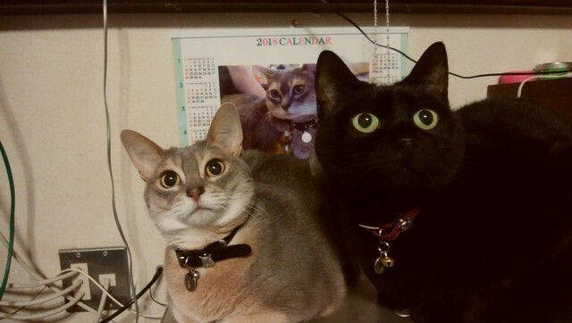 かめきちよりみち 八乙女 | 仙台泉区のカフェ