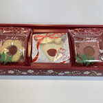 Sabure mishieru - ケーキ・フルール サンドサブレ詰合せ ミックス ３個入 ST-00　１０８０円 （ケーキサブレ １個，フルーツサンドサブレ（苺，アップル 各１個））　(2021/06)