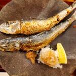 赤坂とゝや魚新 - 鰯