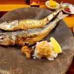 赤坂とゝや魚新 - 鰯と小鉢