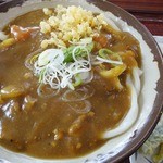 あおき - カレーうどん（大：550円）