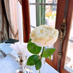 マダム・トキ - 