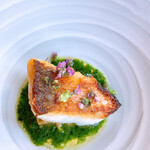 マダム・トキ - 