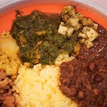 ケニックカレー - 左が「Sho」のホウレン草チキンとスパイシーポテト、右が「モクロミ」のラム肉とひよこ豆のキーマ