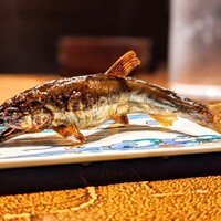 祇園 さゝ木 - 
