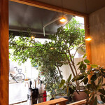 ラ・トォルトゥーガ - 