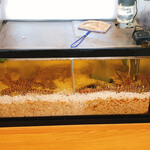 蕎麦切り わたなべ - 