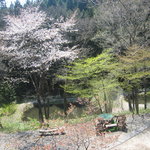 手打そば　もみじ野 - 景色