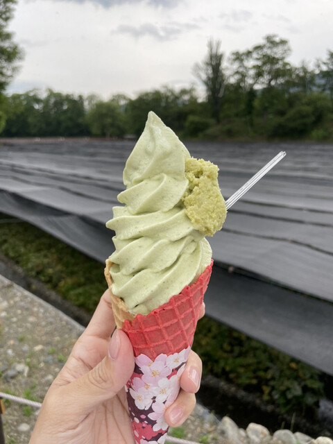 大王わさび農場 テイクアウトコーナー 穂高 アイスクリーム 食べログ 大王わさび農場 テイクアウトコーナー 穂高 アイスクリーム 食べログ