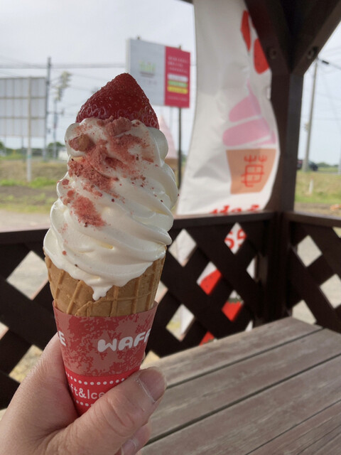 小川農場 千歳 アイスクリーム 食べログ 小川農場 千歳 アイスクリーム 食べログ
