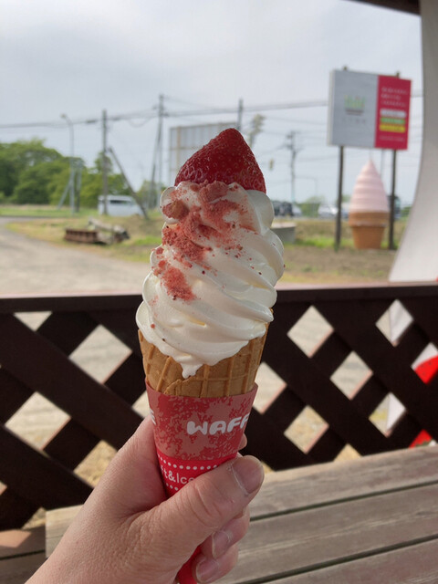 小川農場 千歳 アイスクリーム 食べログ 小川農場 千歳 アイスクリーム 食べログ