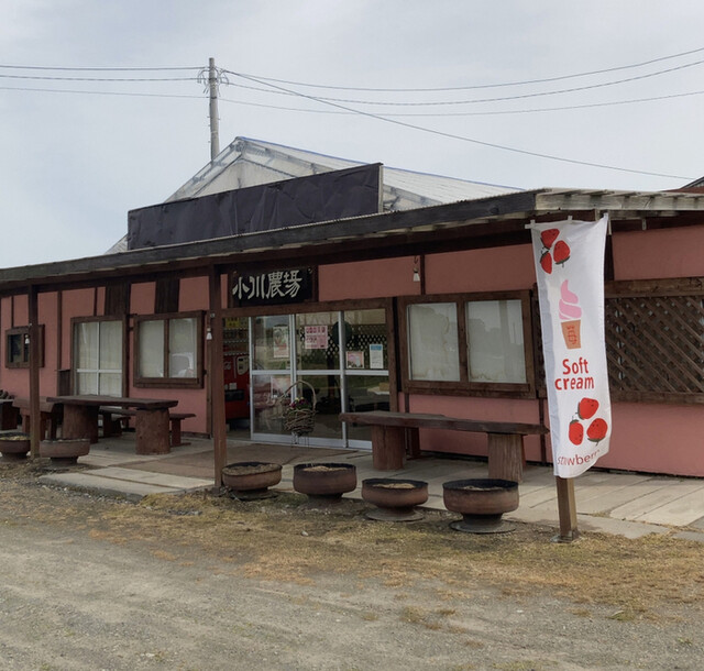 小川農場 千歳 アイスクリーム 食べログ 小川農場 千歳 アイスクリーム 食べログ