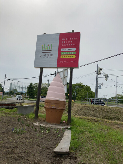 小川農場 千歳 アイスクリーム 食べログ 小川農場 千歳 アイスクリーム 食べログ