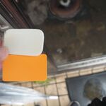 ラーメン二郎 - 小ぶた 800円+生たまご 50円