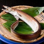 和モードちよ松 - 料理写真: