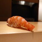 鮨 はしもと - 車海老