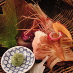 味乃 じゃんぼ - 【訪問３回目】お造り（赤貝、ボタンエビ、ハマチのしば漬け添え、大トロマグロ）※いつもマグロが土台になってます；；；