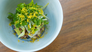 Musai An Ikeda - Marinated Horse Meat with Egg Yolk and Fish Sauce, Spring Truffle, Wild Herbs, Salted Egg Yolk, Homemade Sunki Powder (Chef's Omakase Course)