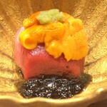 いでの上料理店 - 本マグロ赤身
            バフンうに
            小豆島岩海苔ととんぶりのソース添え