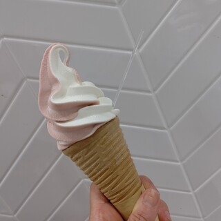 池袋でおすすめの美味しいソフトクリームをご紹介 食べログ