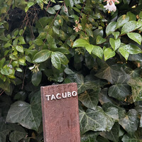 TACUBO - 