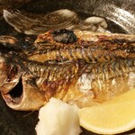 Salt-grilled extra large mackerel