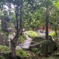 きつね - 