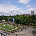 鳥千 - パドックと府中の街並み